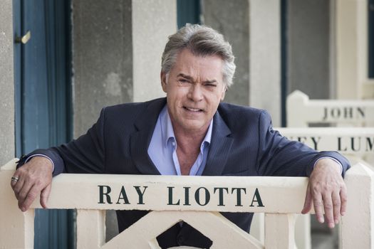 Ray Liotta