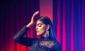 descarga 42 300x180 - Ana Bárbara triunfó en su primer Auditorio Nacional