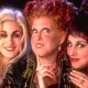 240722 80x80 - Hocus Pocus 2 ya tiene teaser tráiler