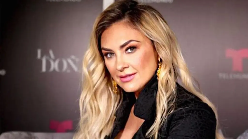 Aracely Arámbula đang trải qua khoảng thời gian khó khăn - Trang 2/2 - Vida Latina