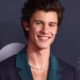 409018 80x80 - Shawn Mendes busca el amor pero sus requisitos son exigentes