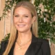 685070 80x80 - Acusan a Gwyneth Paltrow de golpear a un hombre jubilado 