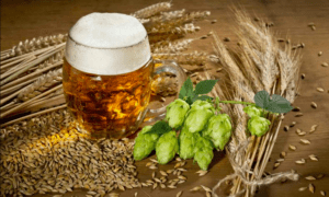 Cerveza 1 300x180 - Diferencias entre la cerveza artesana y la industrial