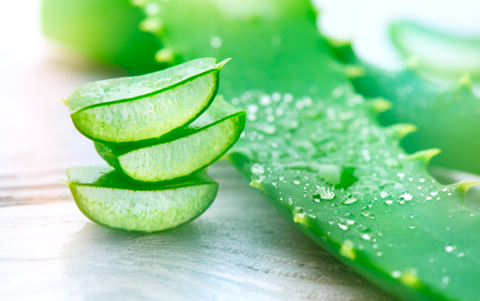 Aloe Vera - Top 5 de las plantas medicinales