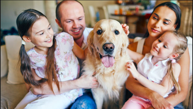 Perros 1 - Aseguran que perros ayudan en el hogar para tu salud