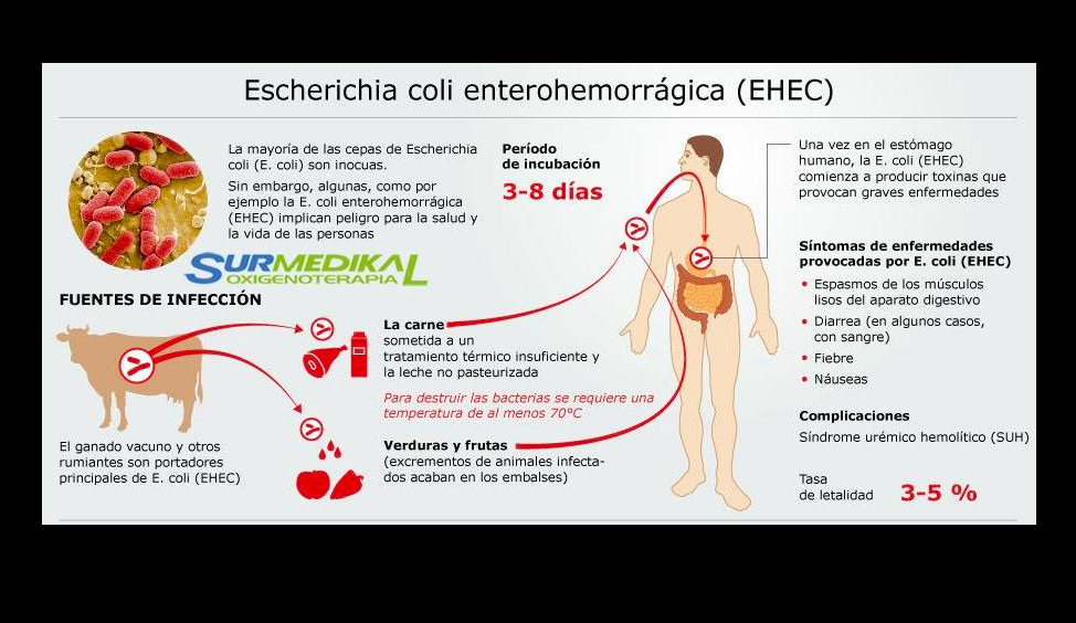 Bacteria 4 - La bacteria afecta a atletas que nadaron en el río Sena