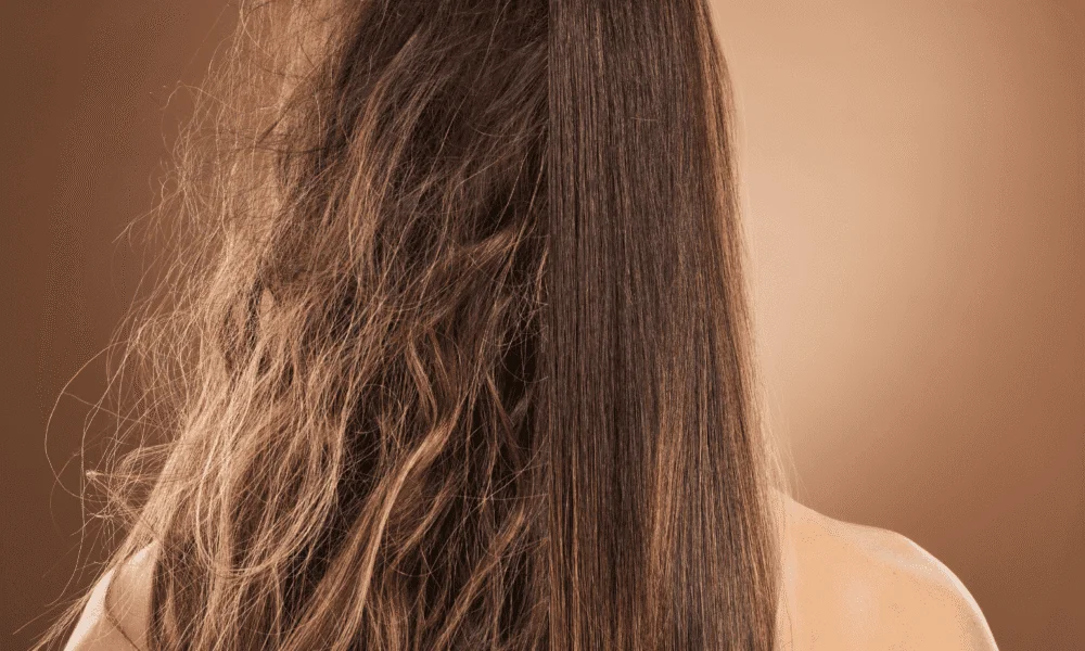 Fotos Blog 12 1 1000x600 - Conoce los productos que salvan tu pelo de lo seco y el frizz