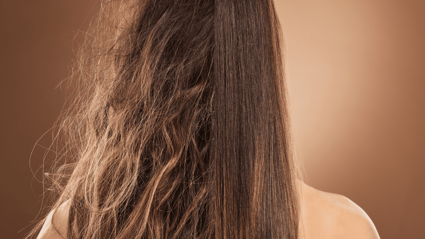 Fotos Blog 12 1 - Conoce los productos que salvan tu pelo de lo seco y el frizz