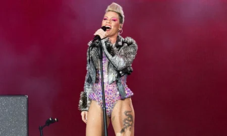 la cantante pink se queda sin palabras un fan le lanza las cenizas de su madre en pleno concierto 8c8a 450x270 - Pink anuncia concierto en México